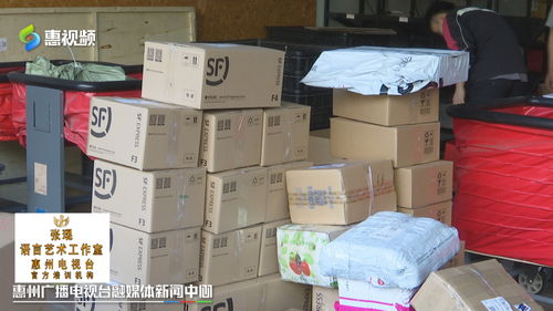 雙十一惠州網(wǎng)友熱衷“血拼”食品，快遞公司迎來攬件高峰